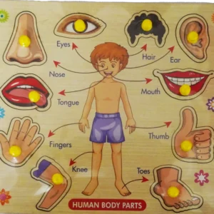 Human Body Parts Wooden Puzzle Board for Kids | Early Learning Educational Toy | Montessori Activity Toy